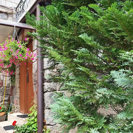 Johny 33 Appartement Sopot