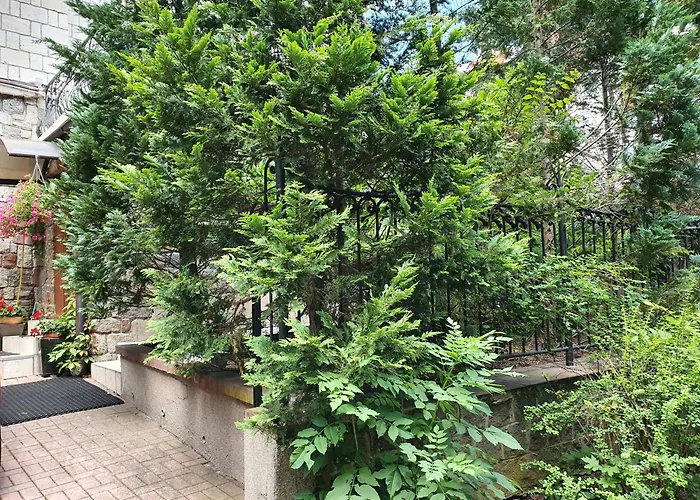 Appartement Johny 33 Sopot